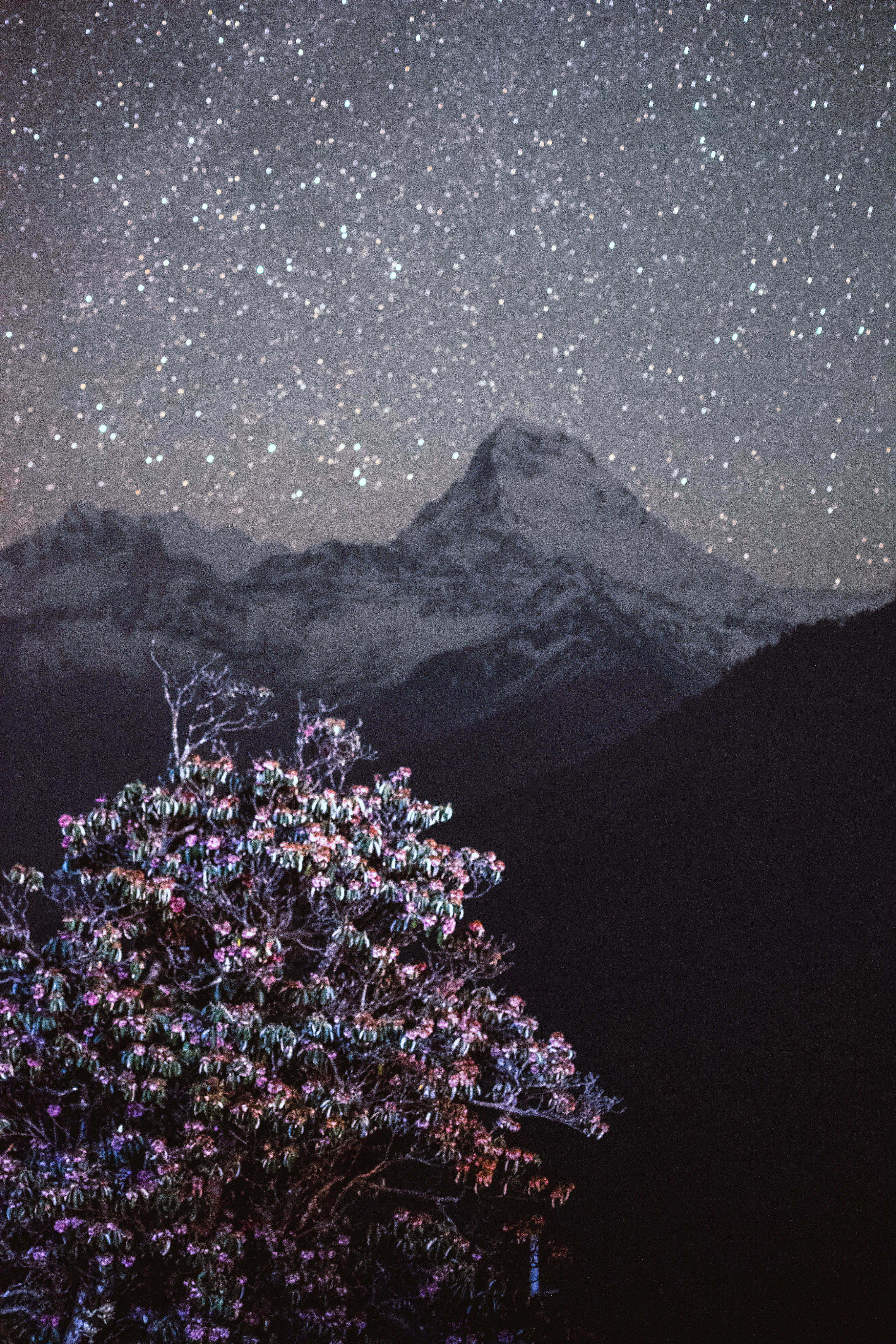 A night time long exposure shot of Annapurna Dakshin from Poon Hill, Nepal.